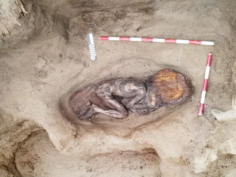 Los restos excepcionalmente conservados de una mujer de hace 5000 años, de la élite de Caral, encontrados en Perú