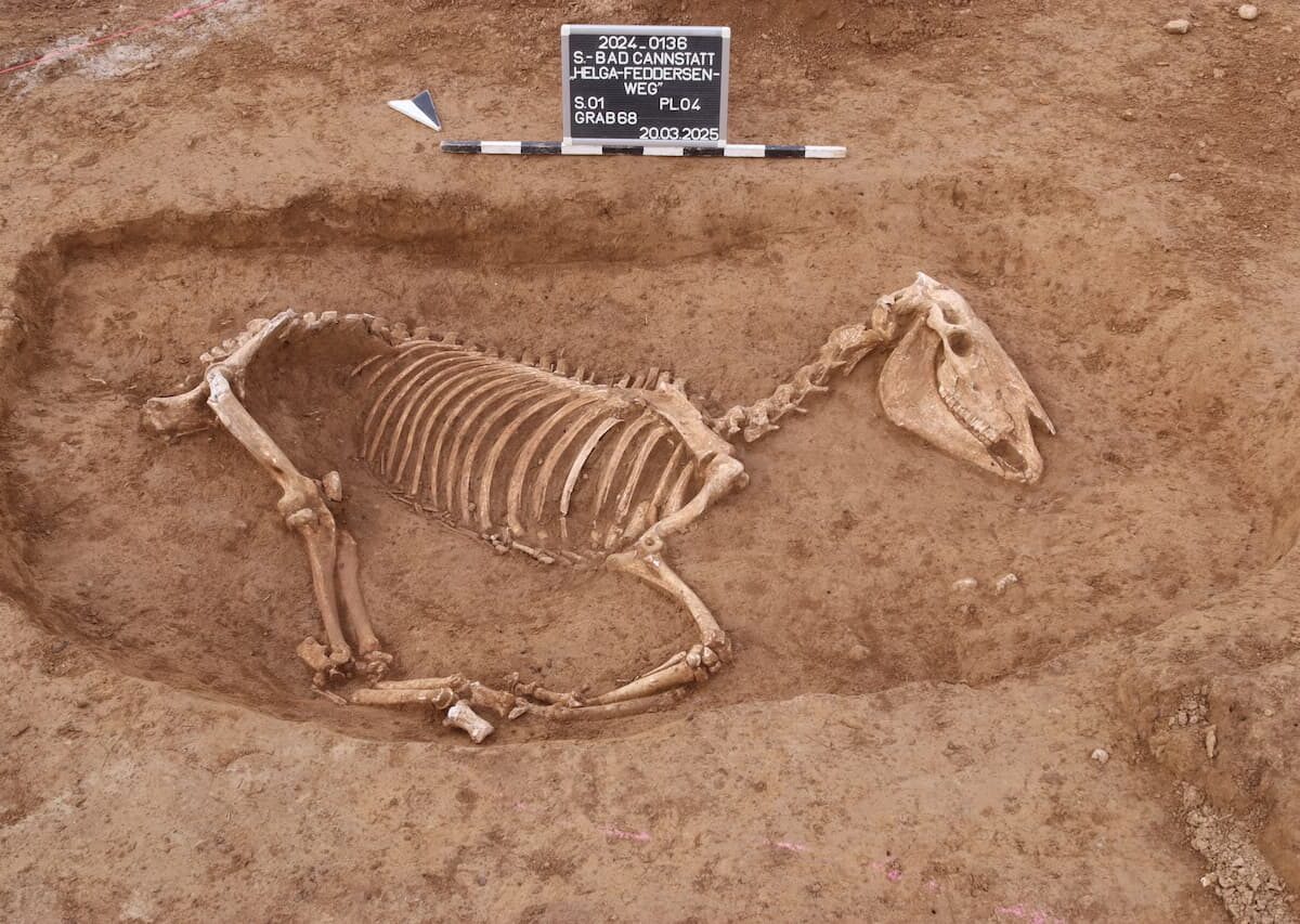 caballos caballería romana stuttgart