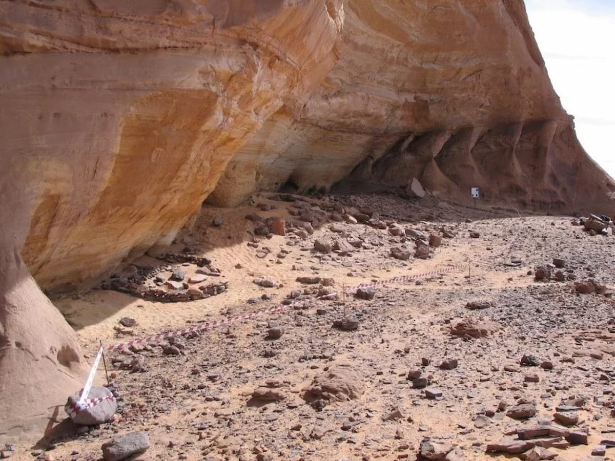 linaje humano aislado sahara 7000 años