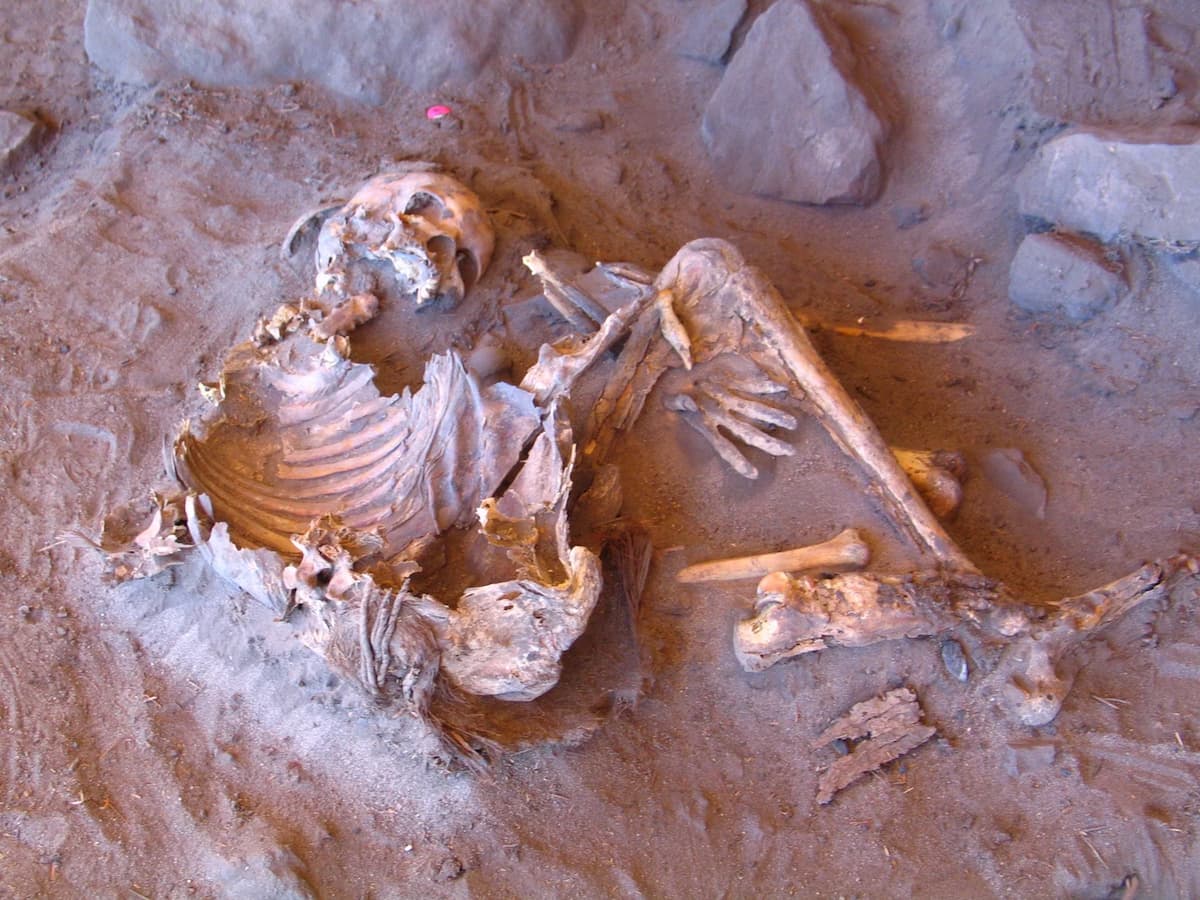 linaje humano aislado sahara 7000 años