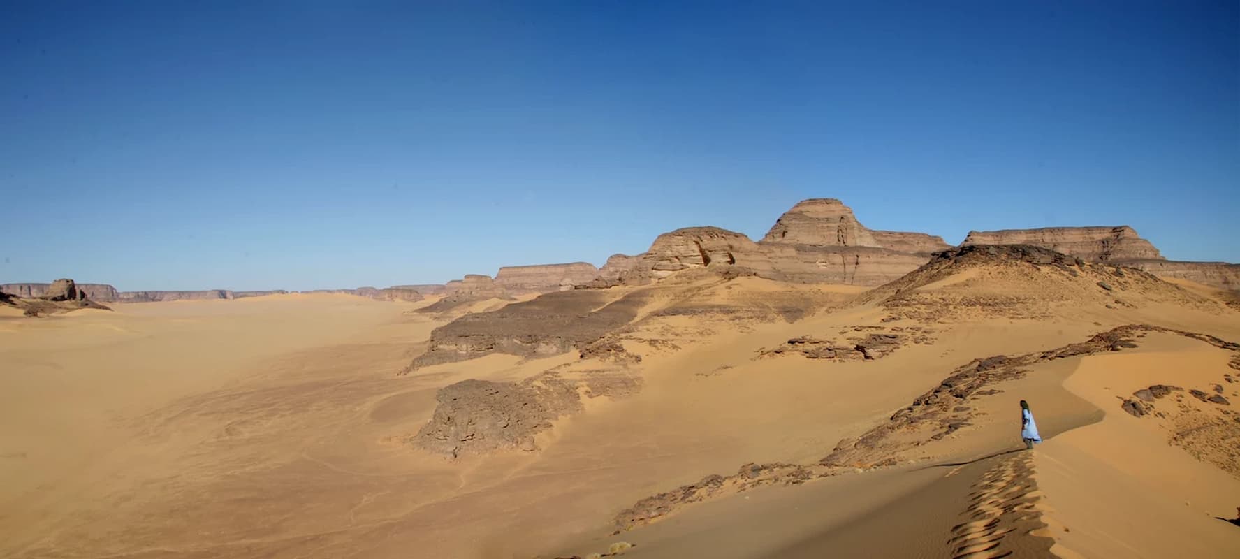 linaje humano aislado sahara 7000 años