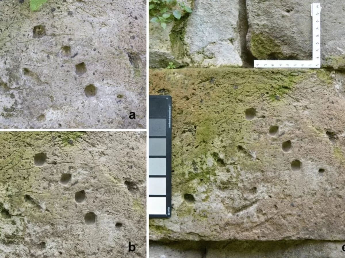 Descubren en Pompeya evidencias del uso en el año 89 a.C. de un polybolos, la mítica arma de repetición griega