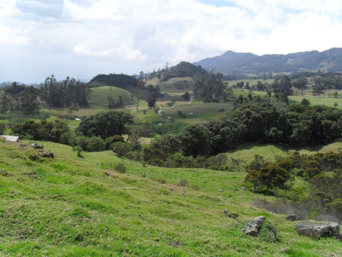 colombia grupo humano linaje desconocido