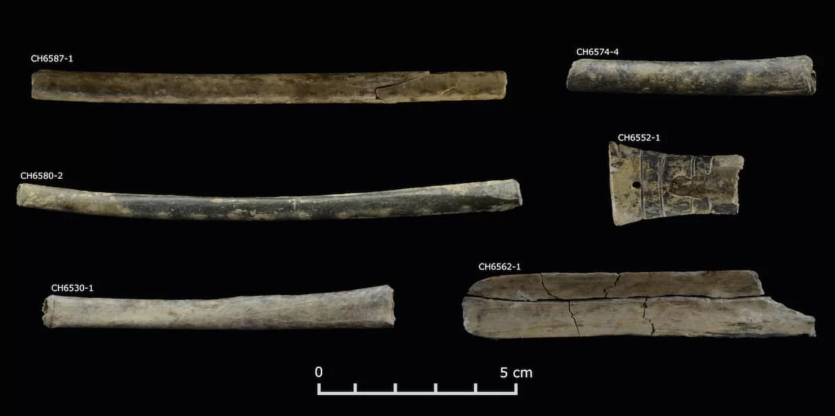 tubos halucinógenos peru chavin gobernar