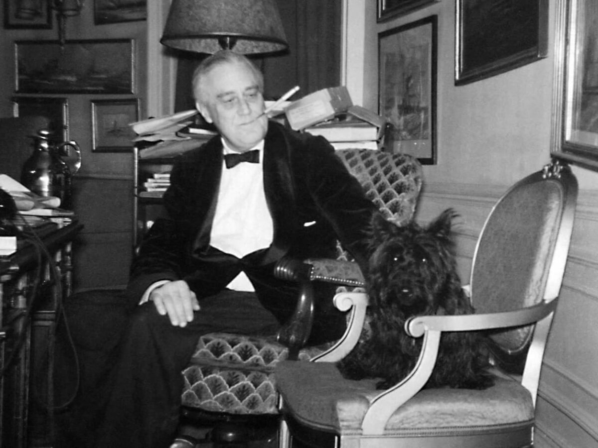 Fala perro discurso bulo Roosevelt