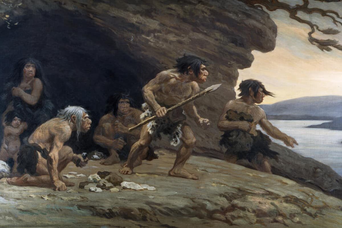 neandertales burgos aves