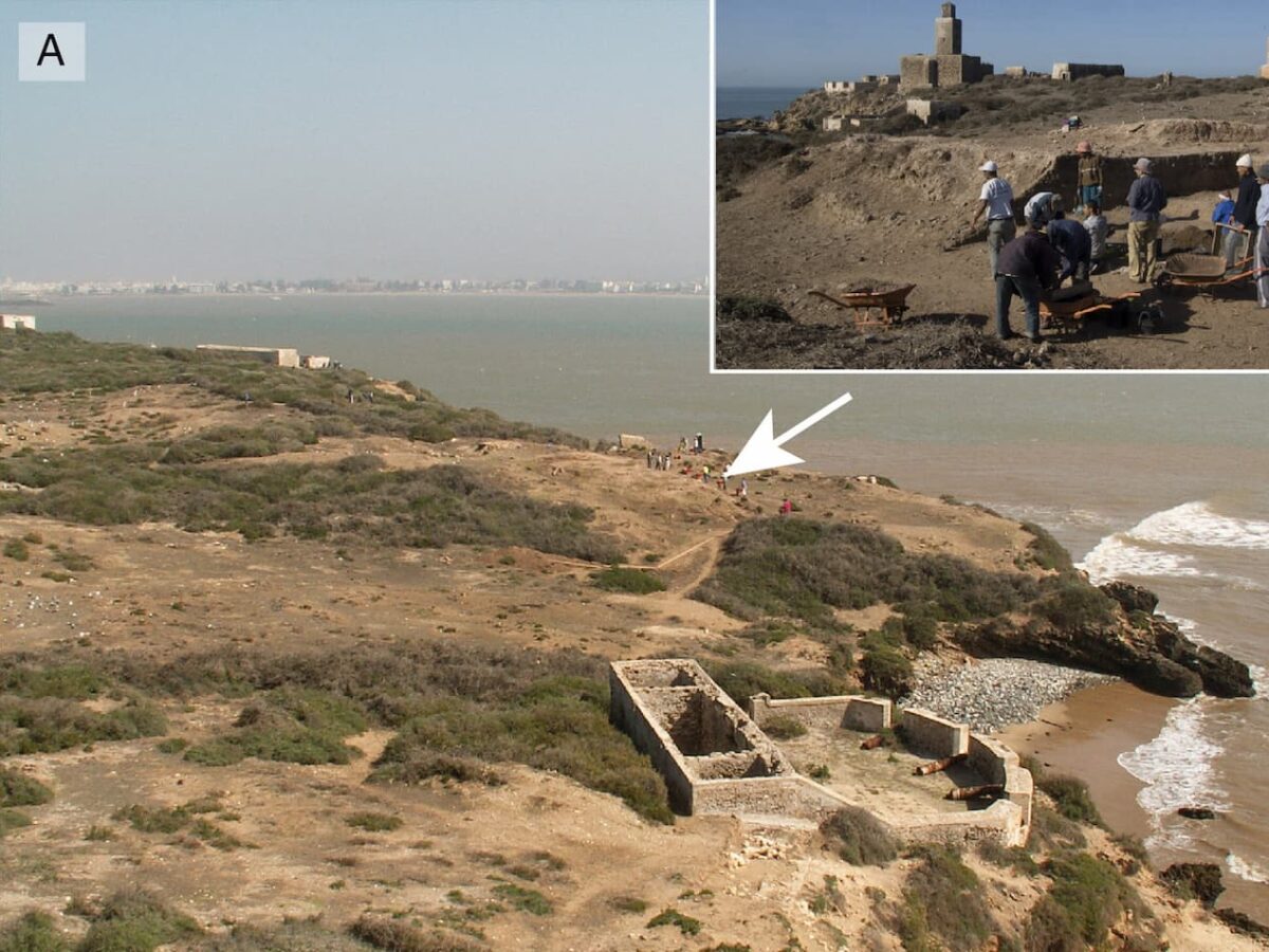 Enigmáticos fósiles de animales marinos del Cretácico encontrados en un yacimiento romano en Mogador