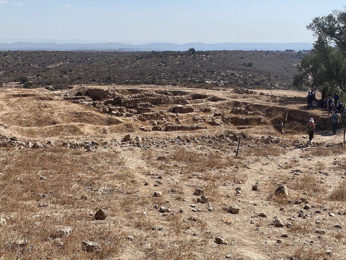 Los habitantes de una ciudad cananea sacrificaban y enterraban burras egipcias bajo sus casas como ritual de protección hace 4500 años
