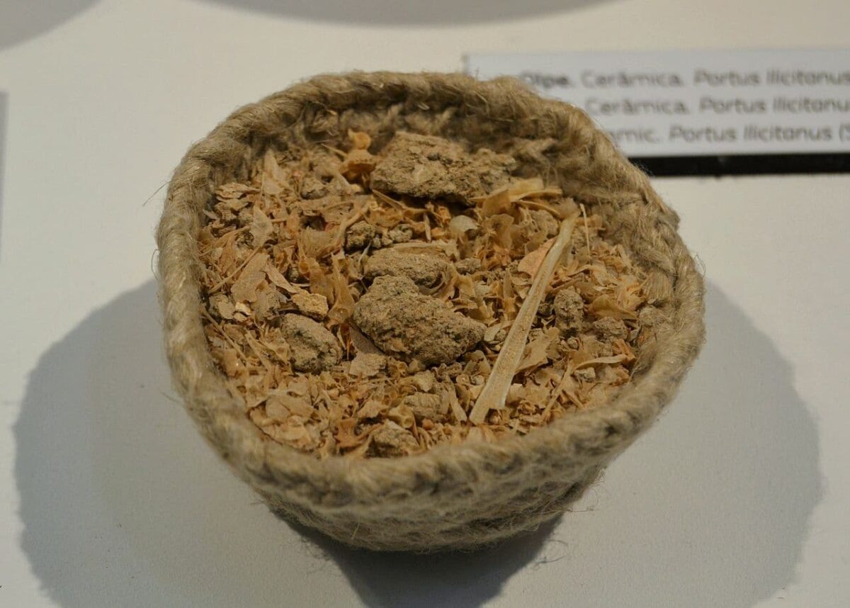 Garum ADN sardinas antiguas