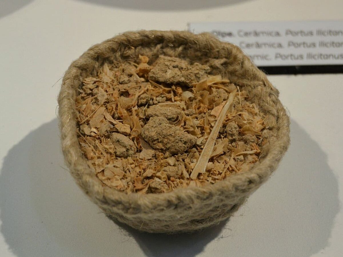 Garum ADN sardinas antiguas