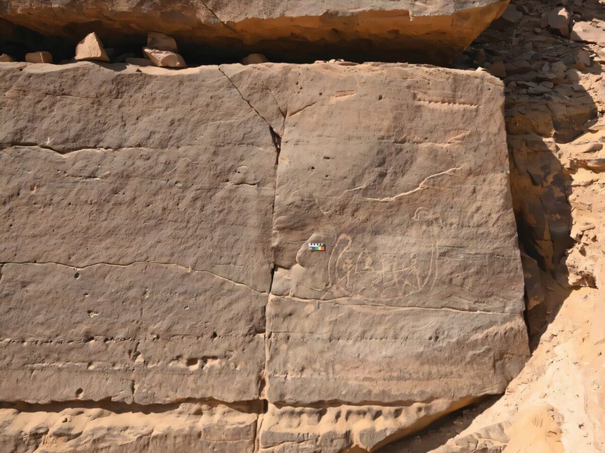 Descubren en Egipto un raro panel rupestre de hace 6000 años que podría representar a un miembro de la élite de la Primera Dinastía