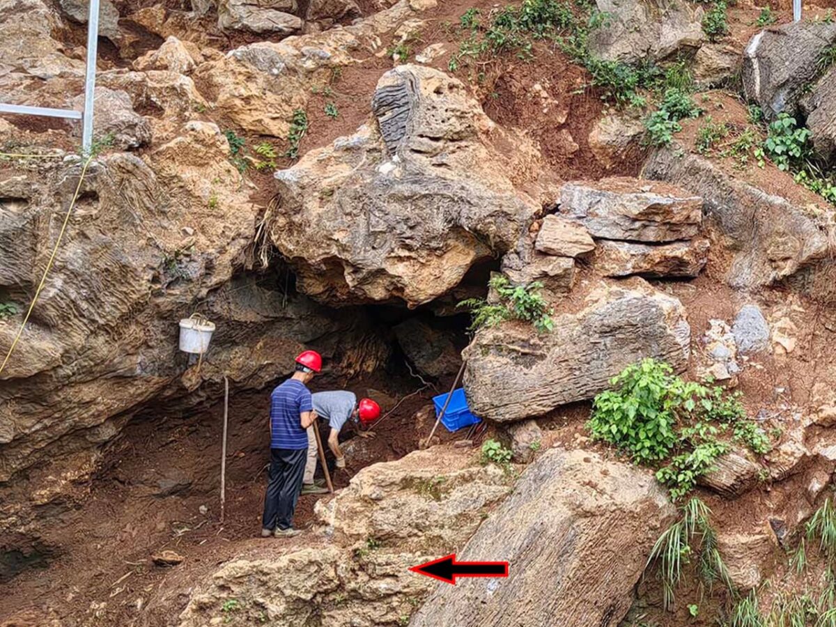 Un hallazgo en China reescribe la historia humana: dientes de 300.000 años sugieren cruce entre Homo sapiens y Homo erectus