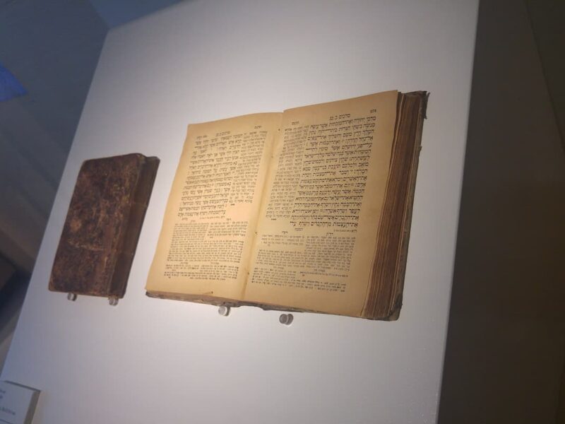 Traducciones antiguas del Nuevo Testamento omiten la frase “Hijo de Dios”: ¿Por qué faltan estas palabras clave?