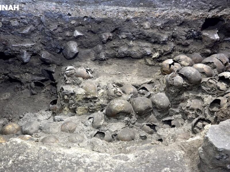 Análisis revelan nuevos datos sobre los sacrificados en la estructura de cráneos de Huei Tzompantli de Tenochtitlán