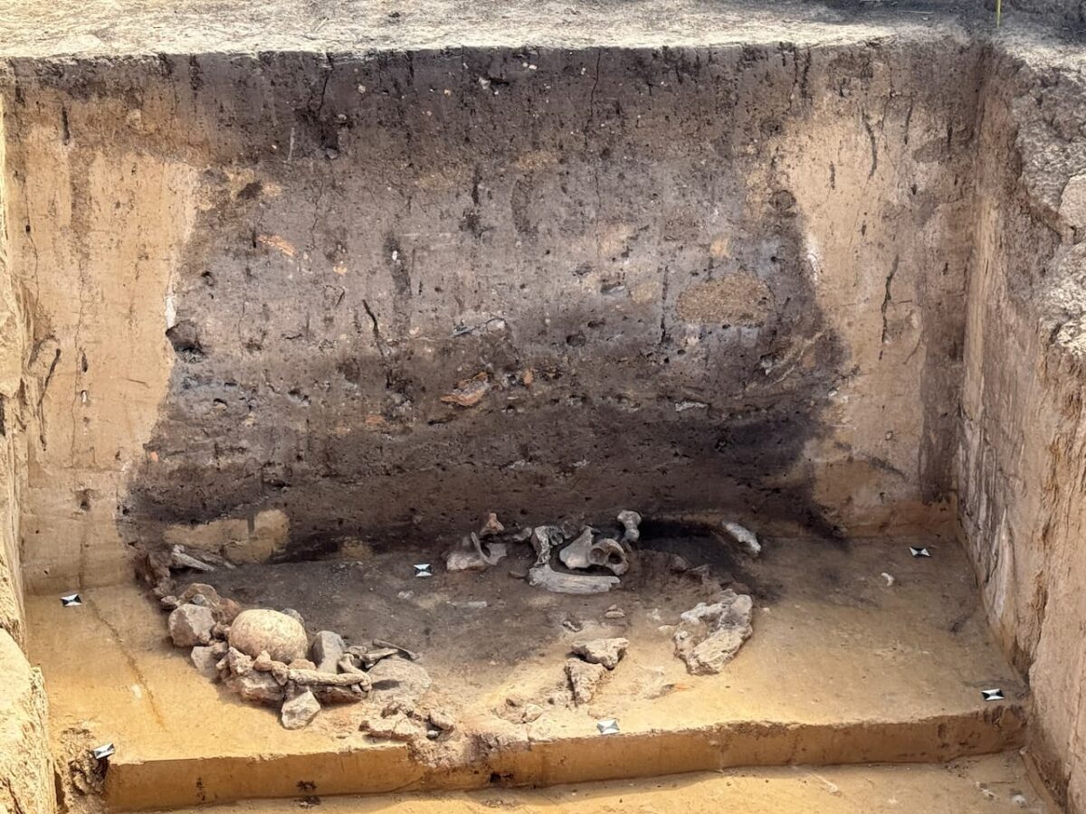 Misteriosos rituales de sacrificios neolíticos con fuego de hace más de 5000 años descubiertos en Alemania