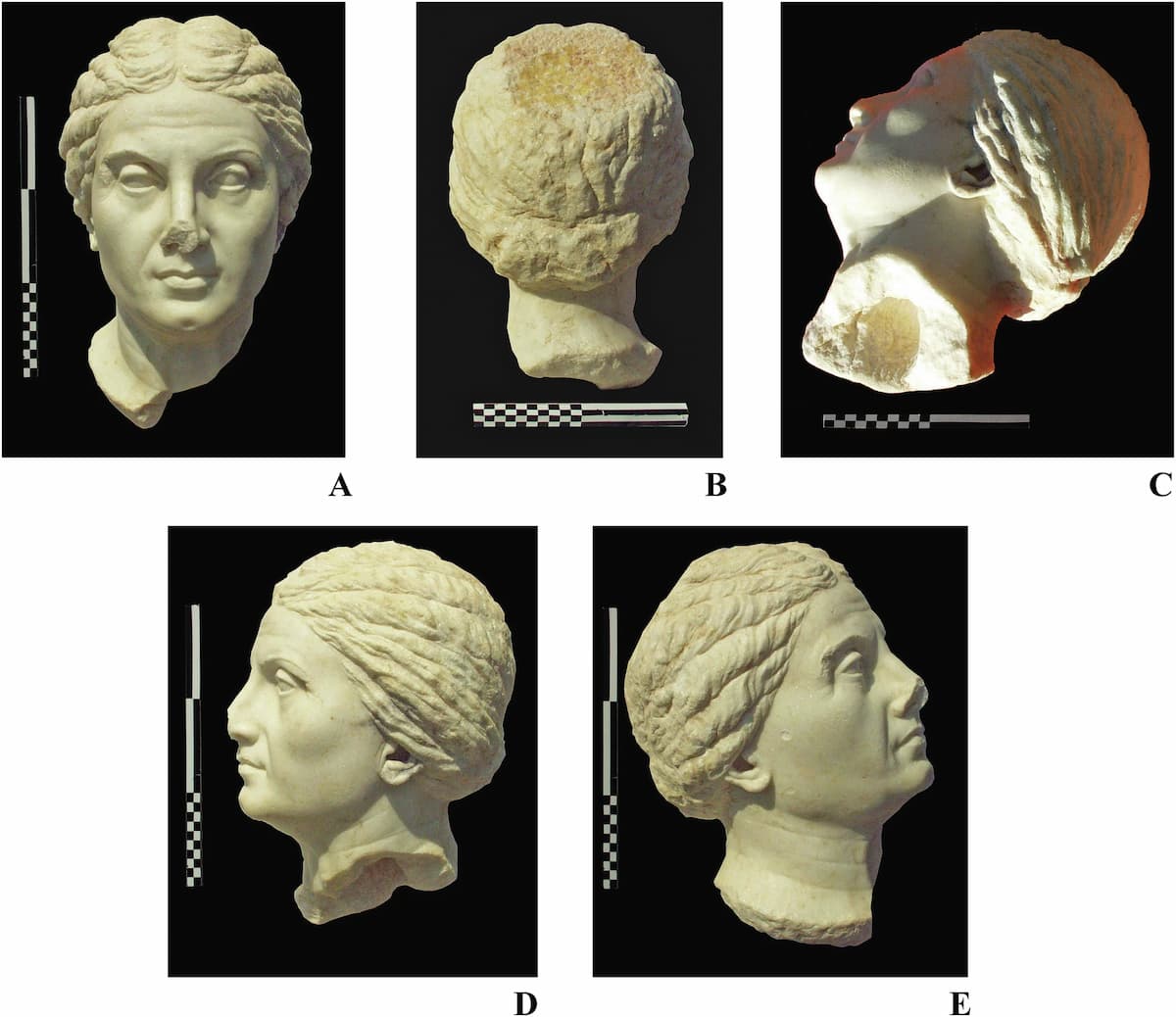 marble head chersonesus laodice
