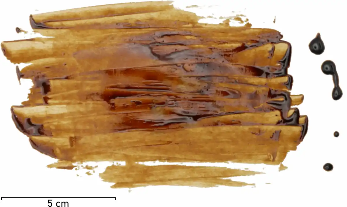neanderthals tar birch natural antibiotic