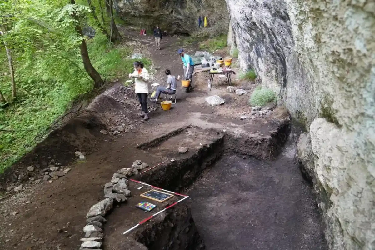 primera evidencia parto asistido neolítico dolomitas