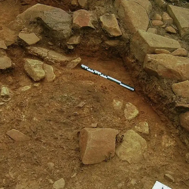 En la Edad del Hierro ya sabían hacer tintes que no se iban con el agua usando roca triturada, vinagre y flores: descubren un taller de teñido en Portugal