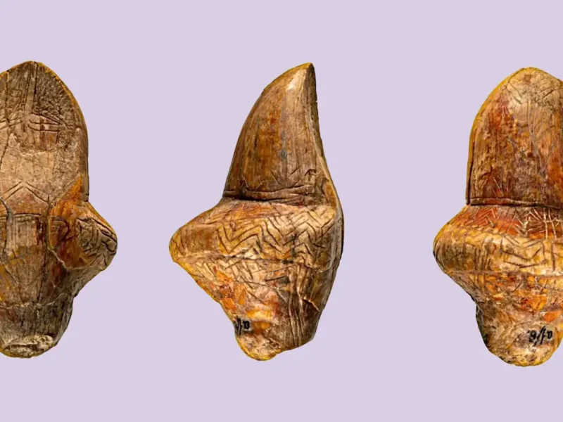 Investigadores resuelven el misterio de las enigmáticas «venus» de hace 18.000 años: siguen el dibujo interior de un colmillo de mamut