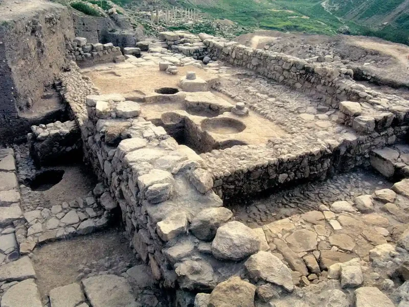 Una extraña tumba de la “edad oscura” hace 3000 años contenía una mujer fenicia, un hombre frigio, otro del Egeo y pimienta negra de la India