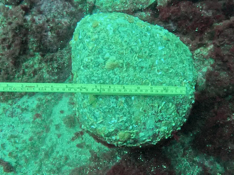 Hallan en Noruega lo que podría ser el ancla más antigua del mundo, una piedra de 30 kilos de la Prehistoria